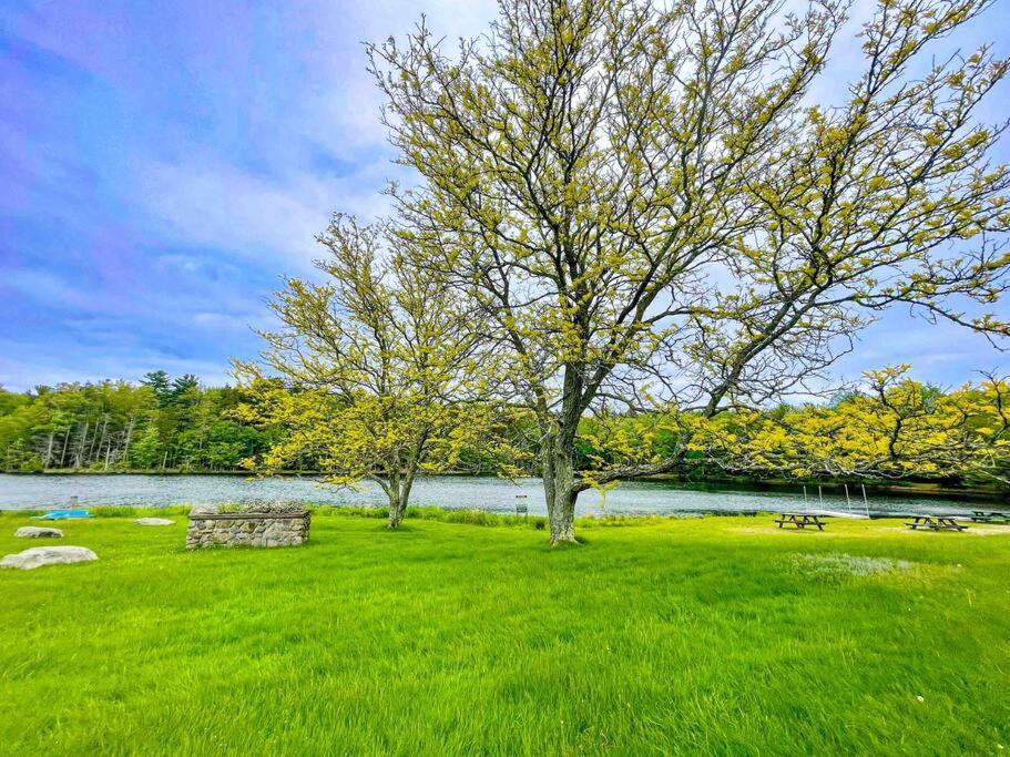 Zen Spa Oasis Retreat Sauna/Hotub/Firepit/Fun/Gameroom Blakeslee エクステリア 写真